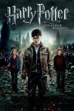 Poster Film Harry Potter and the Deathly Hallows: Part 2 (2011)